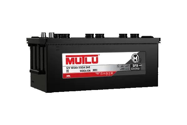 Starter Battery