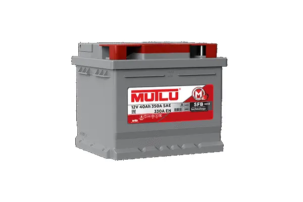 Starter Battery