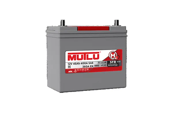 Starter Battery