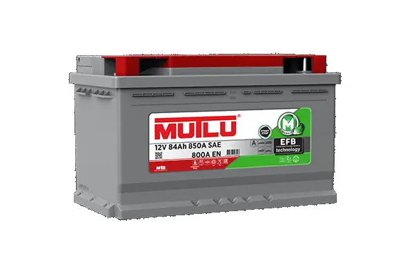 Starter Battery