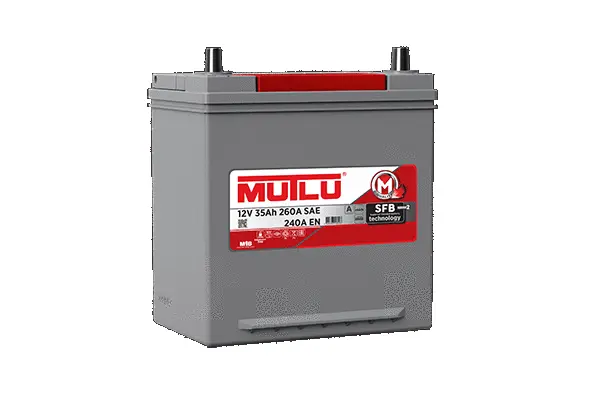 Starter Battery