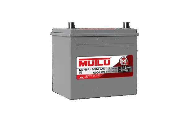 Starter Battery