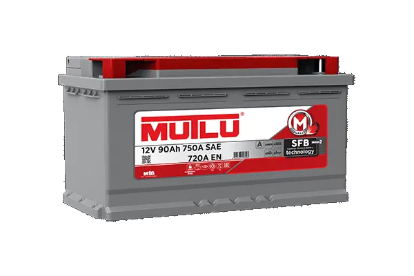 Starter Battery