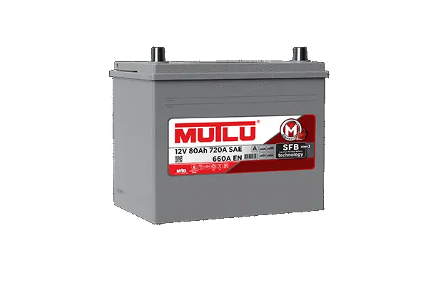 Starter Battery