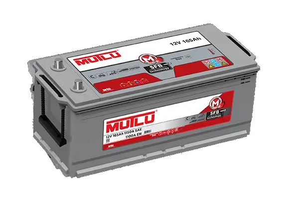 Starter Battery (D5.165.110.A)
