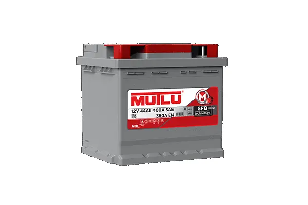 Starter Battery