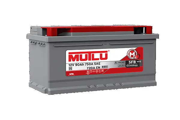 Starter Battery