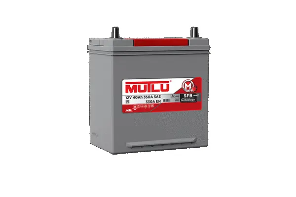 Starter Battery
