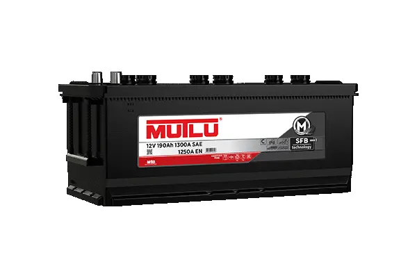 Starter Battery