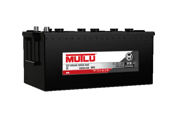 Starter Battery