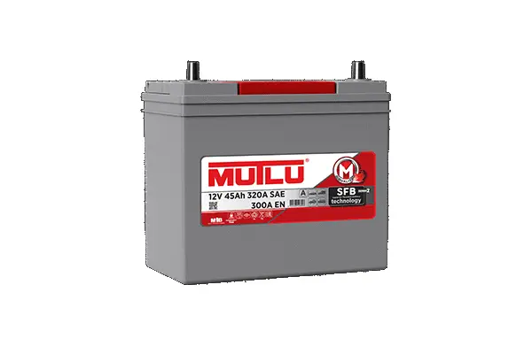 Starter Battery