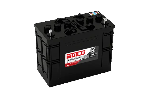 Starter Battery (D3.128.090.F)