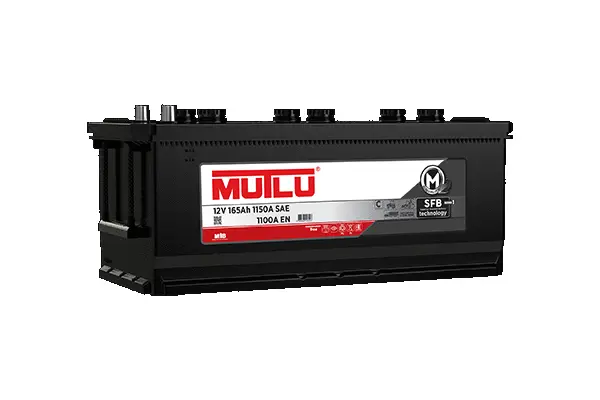 Starter Battery