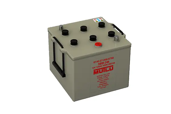 Starter Battery (D7.125.090.C)
