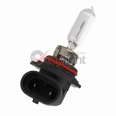 Bulb, spotlight (39009)