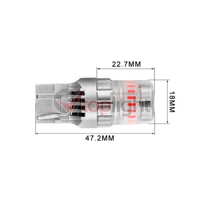 Bulb, direction indicator