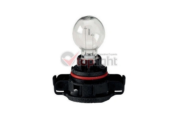 Bulb, rear fog light