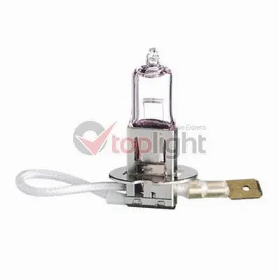 Bulb, spotlight (39105)