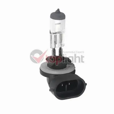 Bulb, headlight (39384)