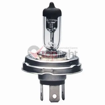 Bulb, spotlight (39024)