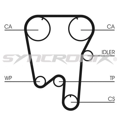 Timing Belt