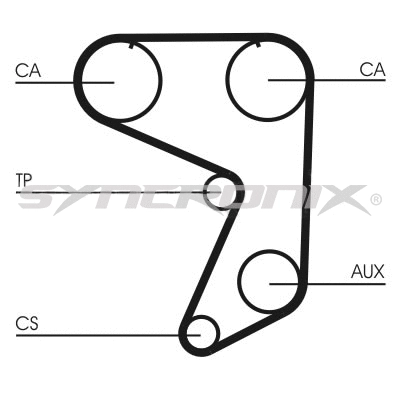 Timing Belt