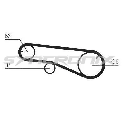 Timing Belt