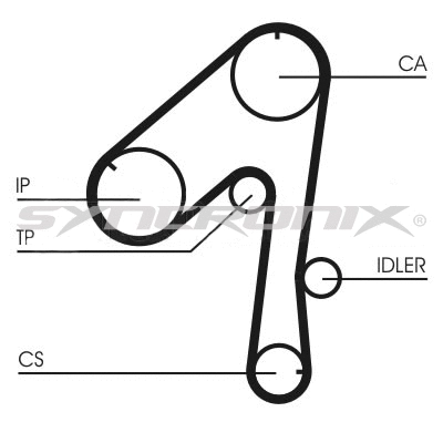 Timing Belt