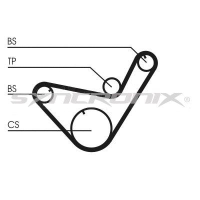 Timing Belt Kit (SY110714)