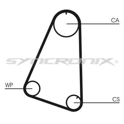 Timing Belt