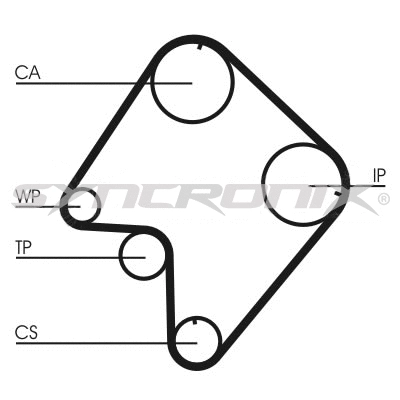 Timing Belt