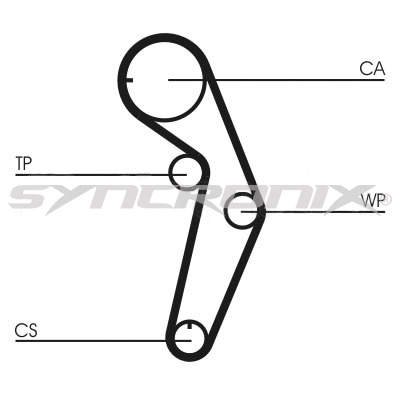 Timing Belt Kit (SY1101048)