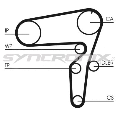 Timing Belt Kit (SY1101076)