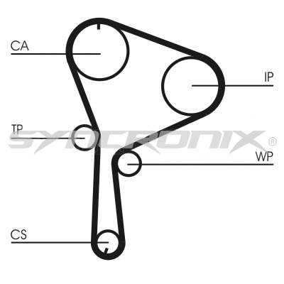 Timing Belt Kit (SY1101064)