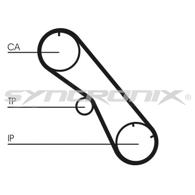 Timing Belt