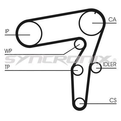 Timing Belt Kit (SY210995)