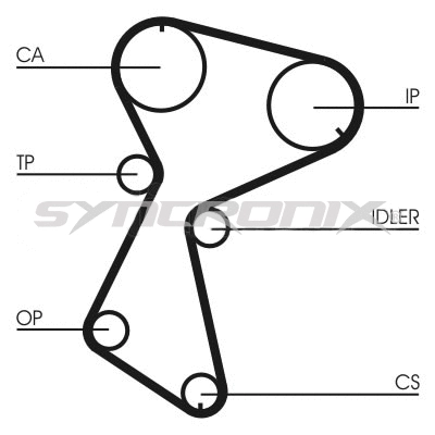 Timing Belt Kit (SY110604)