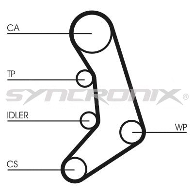 Timing Belt