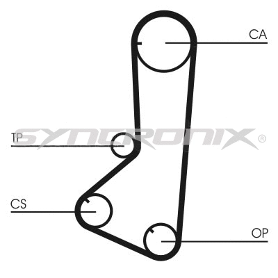 Timing Belt