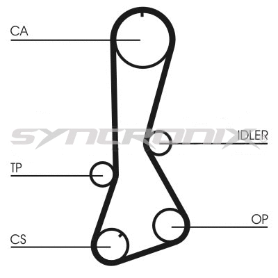 Timing Belt