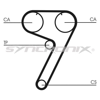 Timing Belt