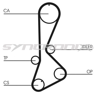 Timing Belt Kit (SY110828)