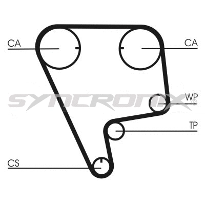 Timing Belt