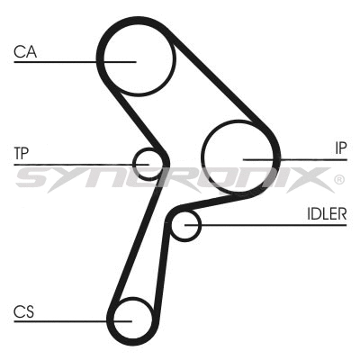 Timing Belt