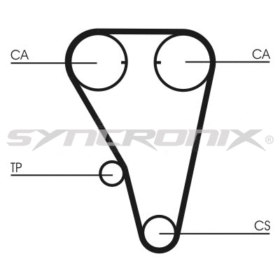 Timing Belt