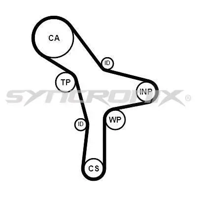 Timing Belt