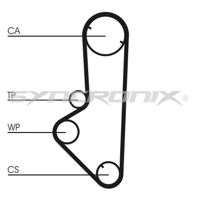 Timing Belt