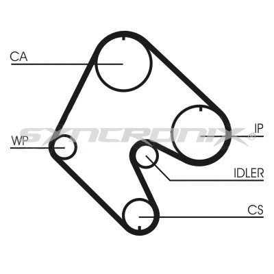 Timing Belt