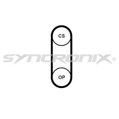 Timing Belt