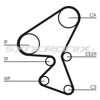 Timing Belt